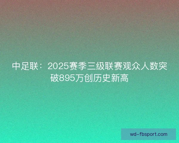 中足联：2025赛季三级联赛观众人数突破895万创历史新高
